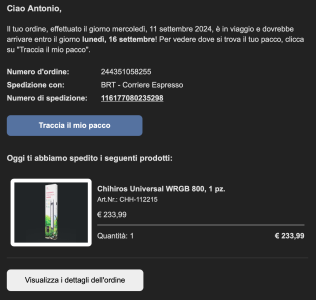 Screenshot 2024-12-10 alle 18.33.00.png