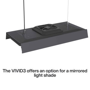 WRGB VIVID III b (1).jpg