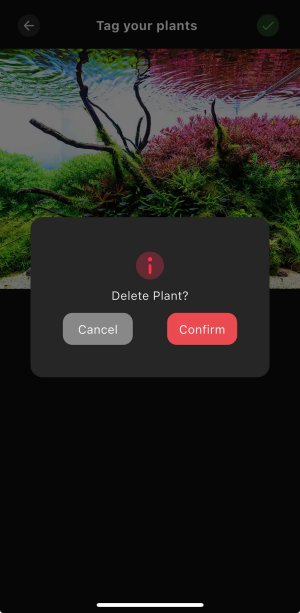 Plant 2.jpg