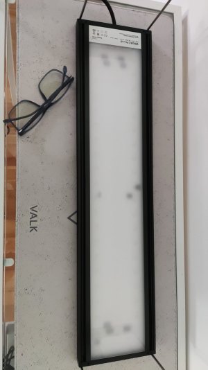 1753519863867.jpg