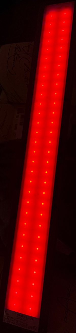 IMG_0782.jpeg