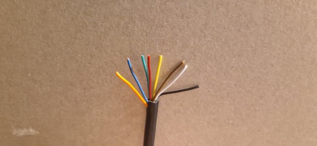 20251008_193646.jpg