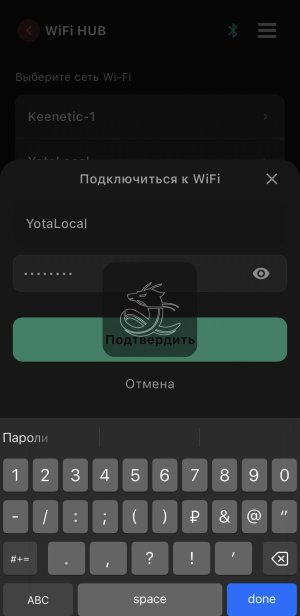 IMG_6722.jpeg