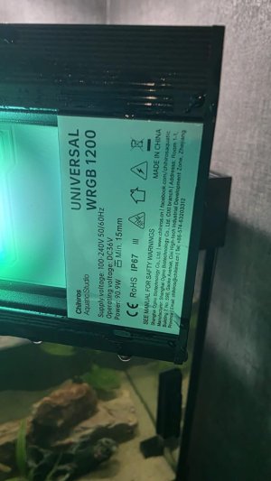 4aade0ec-6028-49b3-95cd-d40b089a1284.jpg 4aade0ec-6028-49b3-95cd-d40b089a1284.jpg