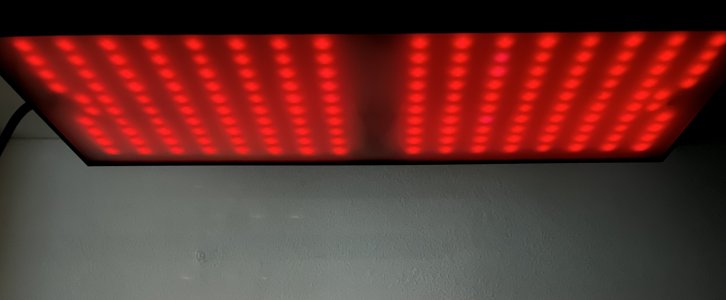 IMG_0937.jpeg IMG_0937.jpeg