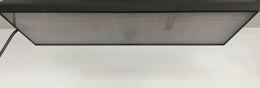 IMG_0938.jpeg IMG_0938.jpeg