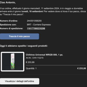 Screenshot 2024-12-10 alle 18.33.00.png