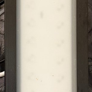 IMG_0774.jpeg