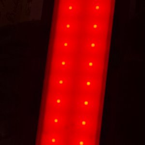 IMG_0782.jpeg