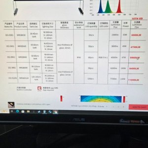 Media '59065ee2-9fd8-4a52-a4d5-984d81081d71.jpeg' in category 'Category'