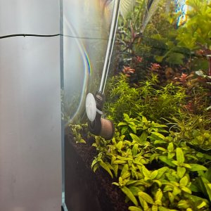 Media 'IMG_2384.jpeg' in category 'Category'