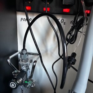 Media 'IMG_2382.jpg' in category 'Category'