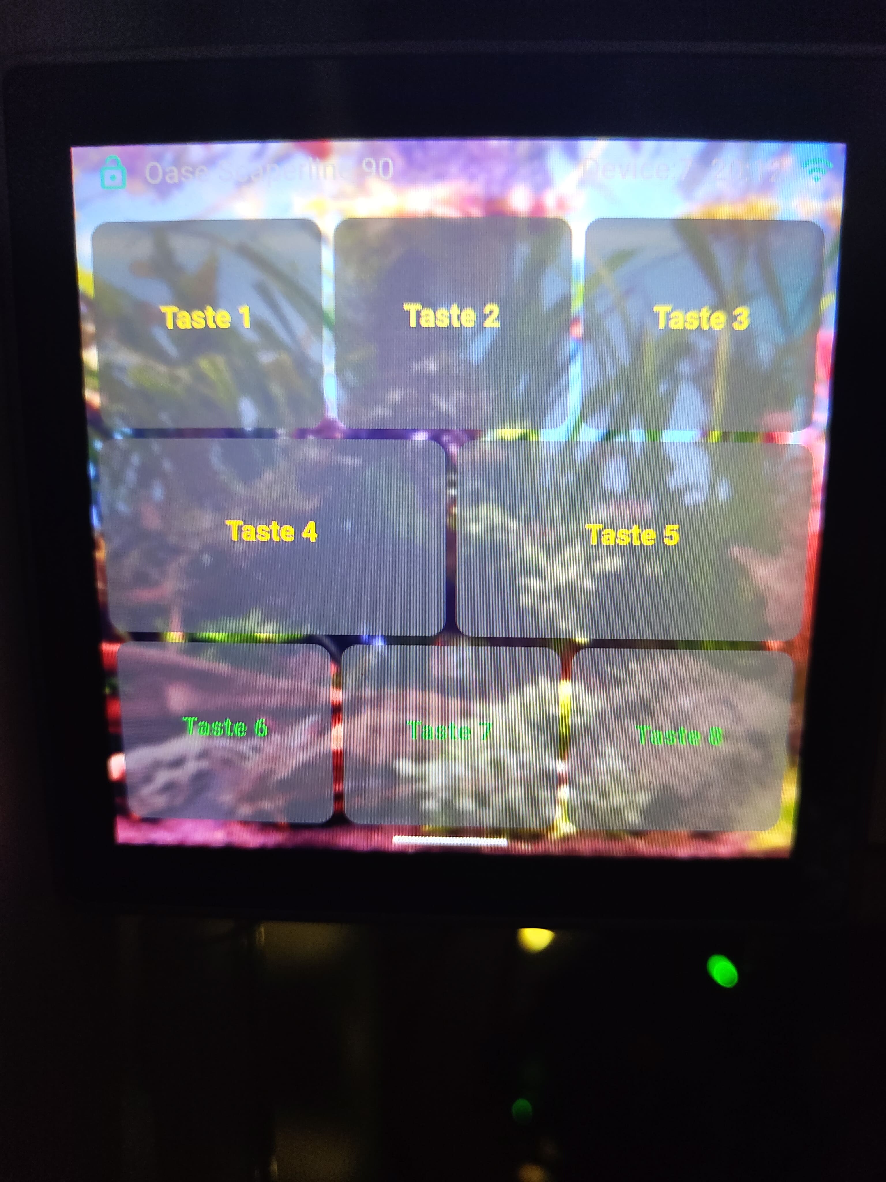 1000018177.jpg