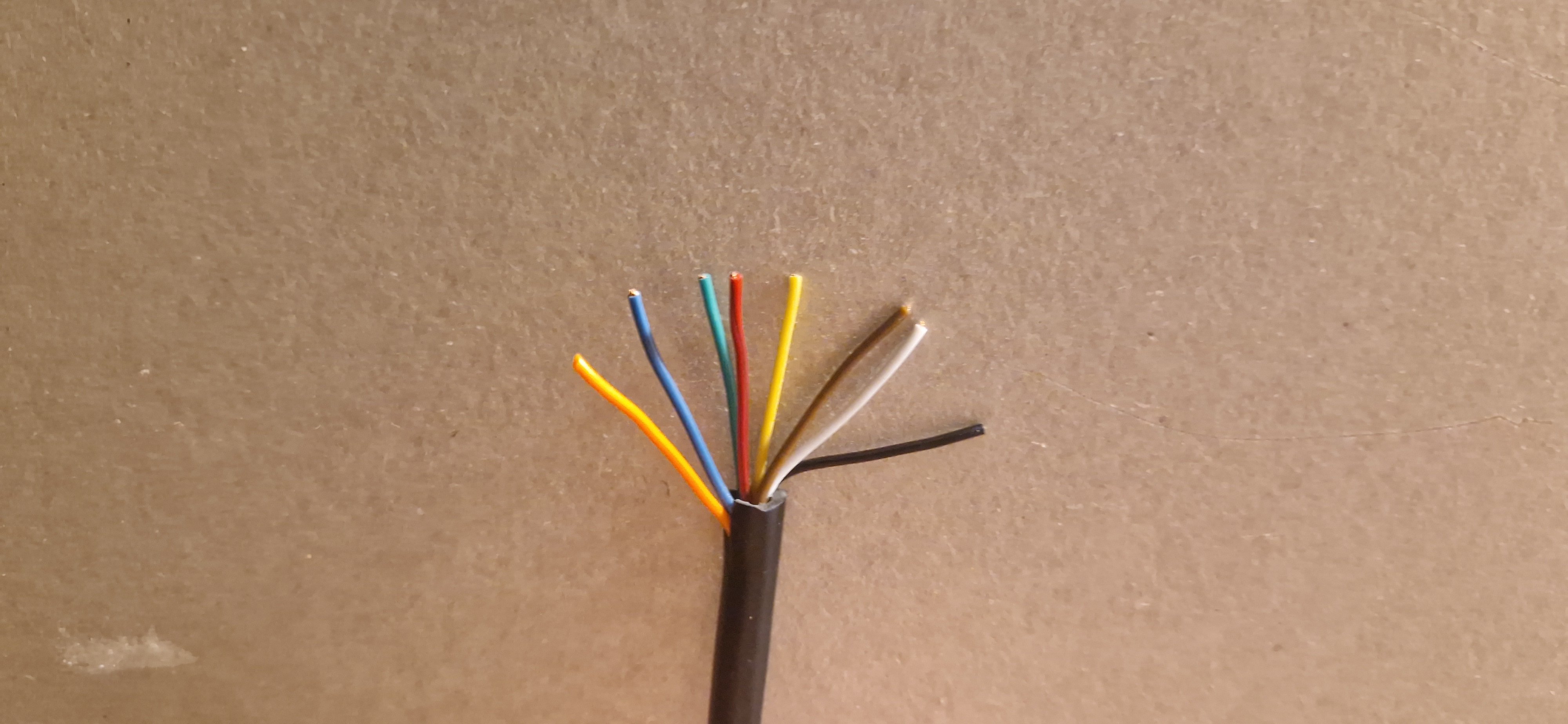 20251008_193646.jpg