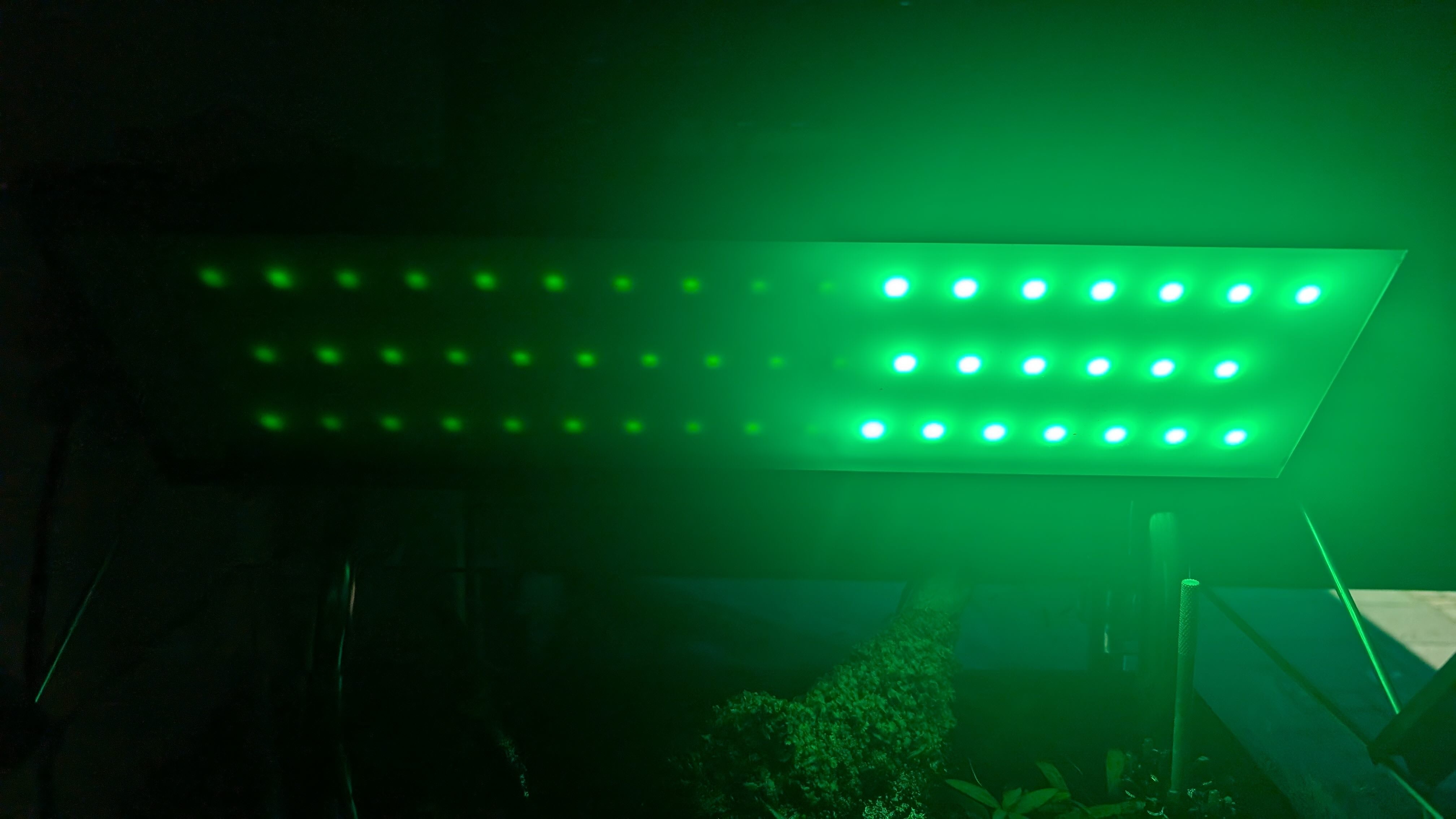 Chihiros WRGB2_green100.jpeg